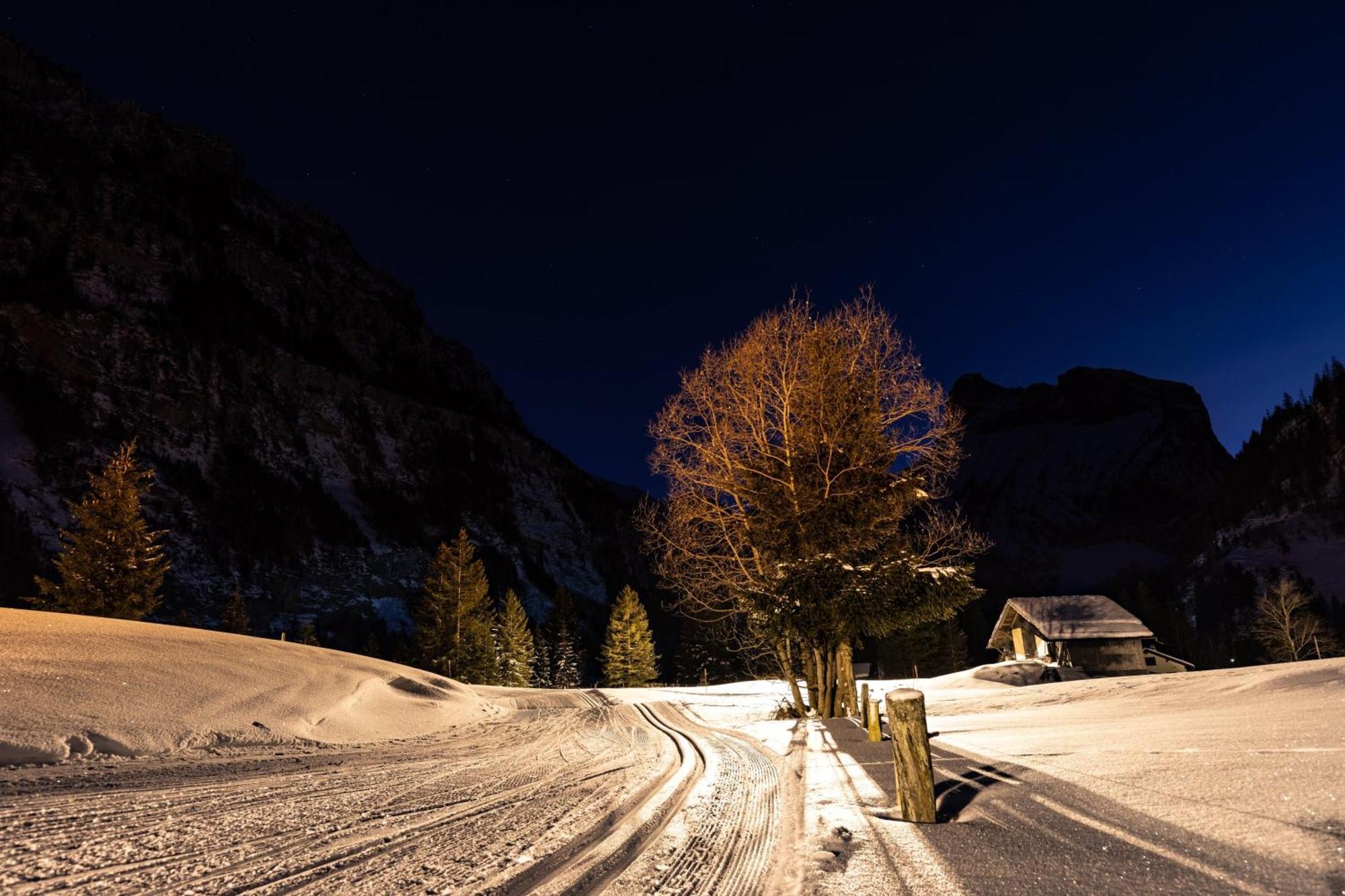 Seilers Vintage Hotel & Spa Kandersteg Exterior foto